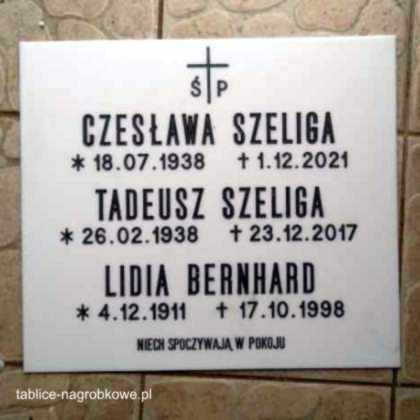 tablica Szeliga
