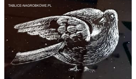 tablica nagrobkowa wizerunek 24 w plexi