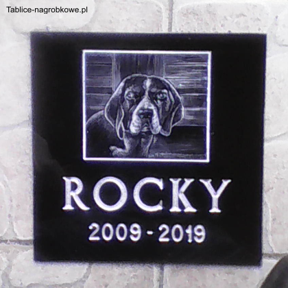 tablica nagrobkowa z plexi rocky