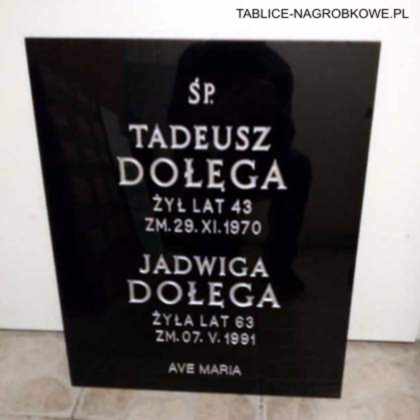 tablica Dołęga