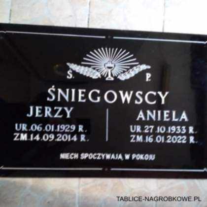 tablica Śniegowscy