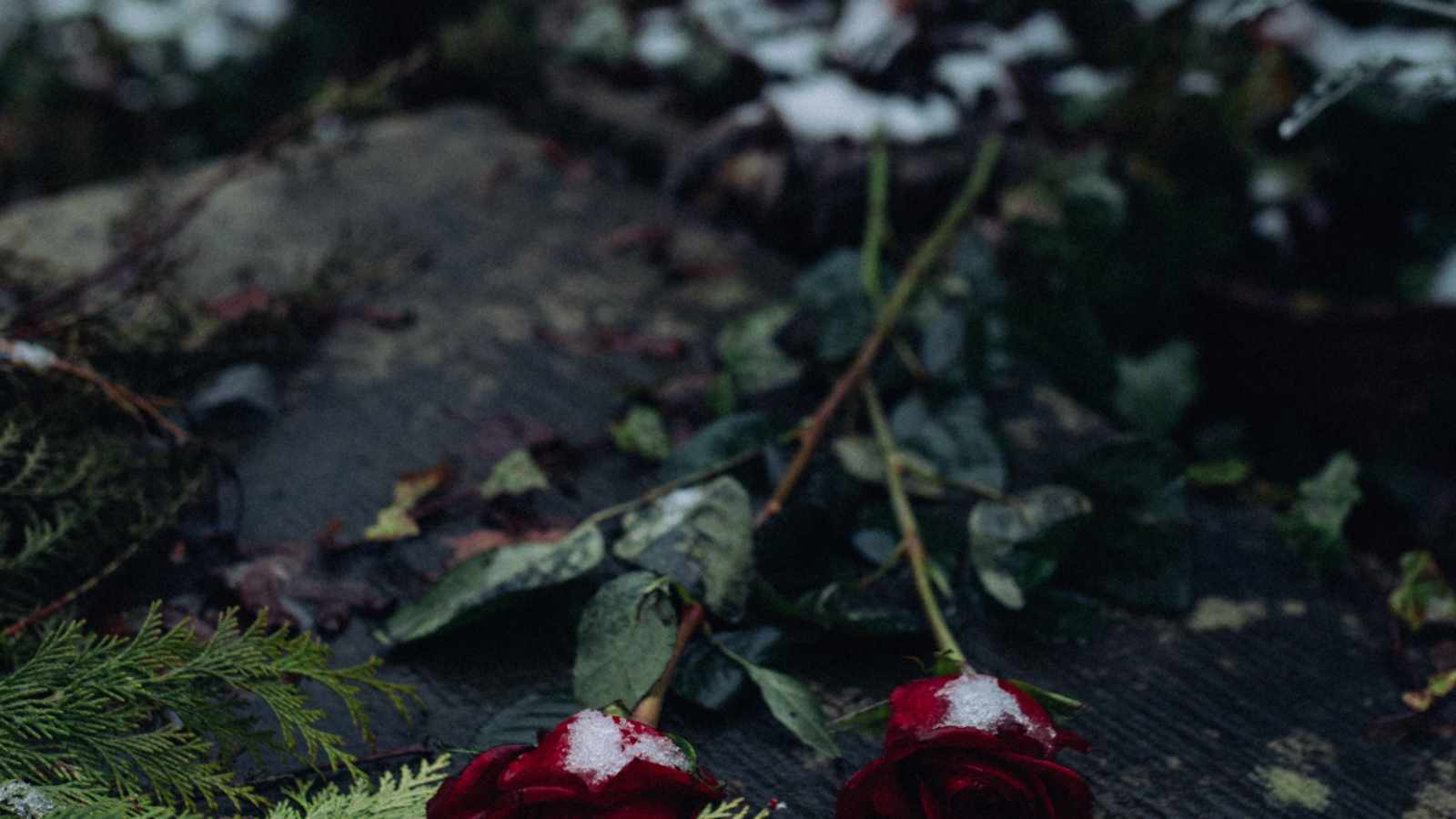 tablice nagrobkowe z plexi