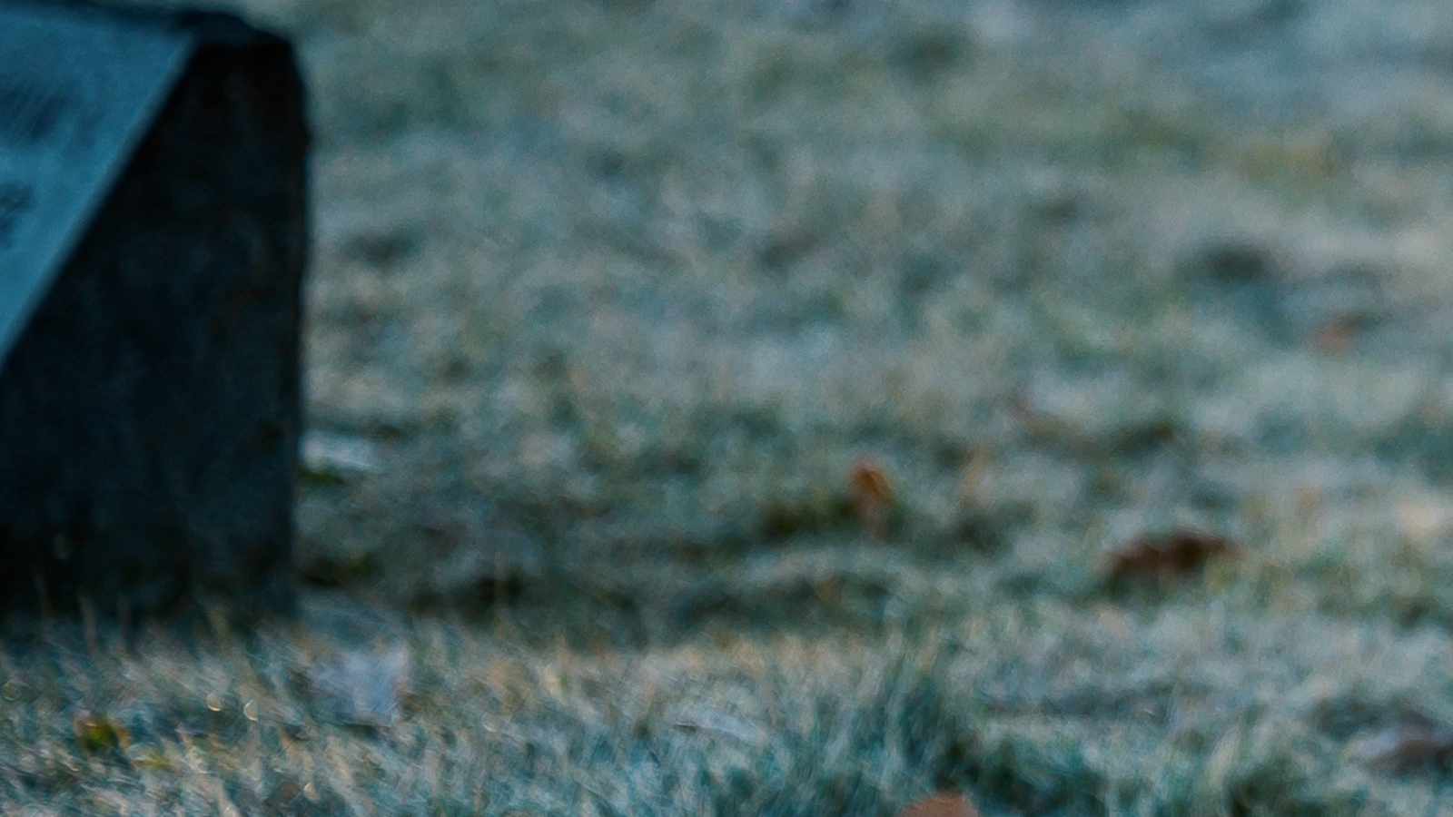 tablice nagrobkowe z plexi