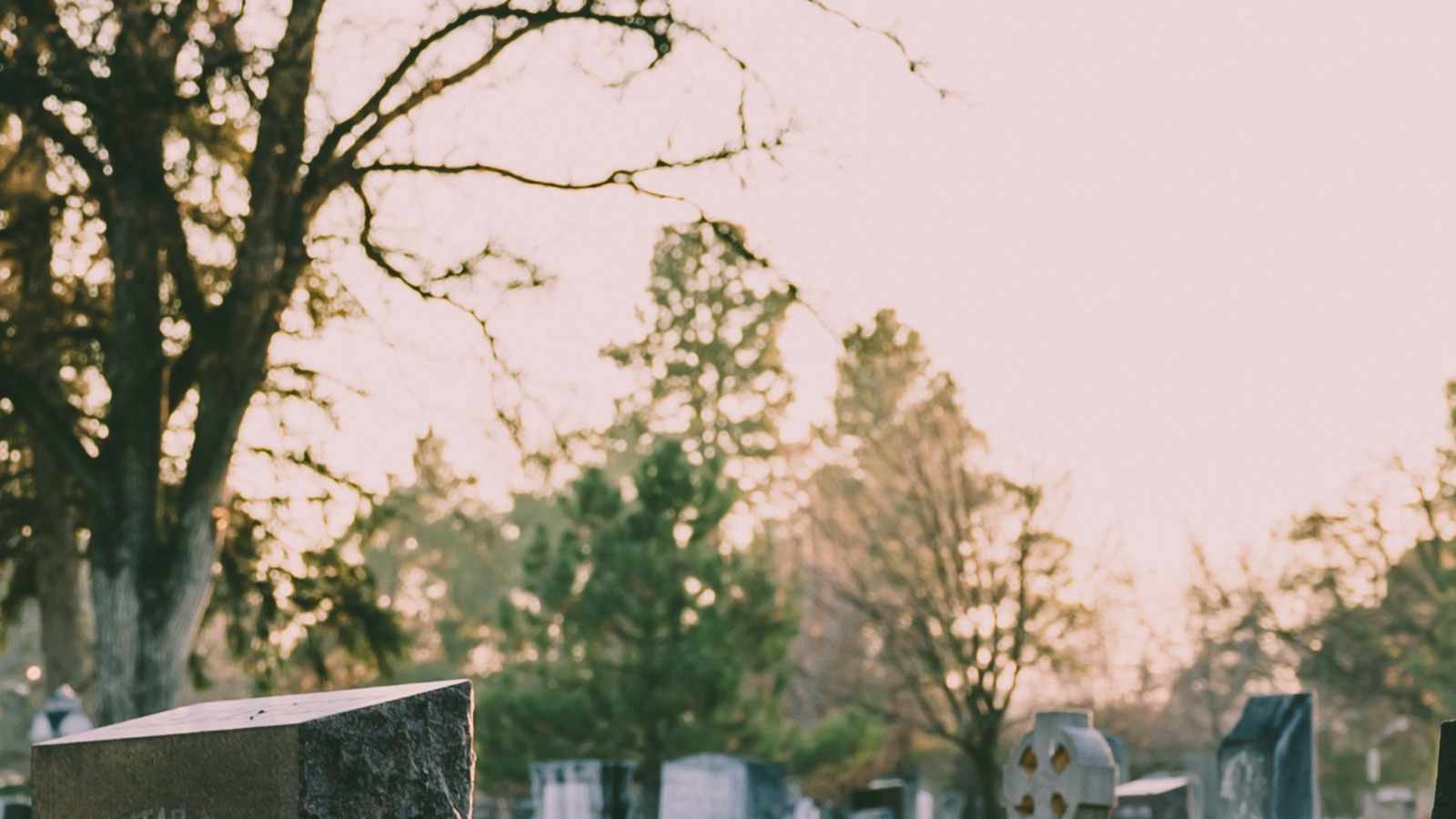 tablice nagrobkowe z plexi