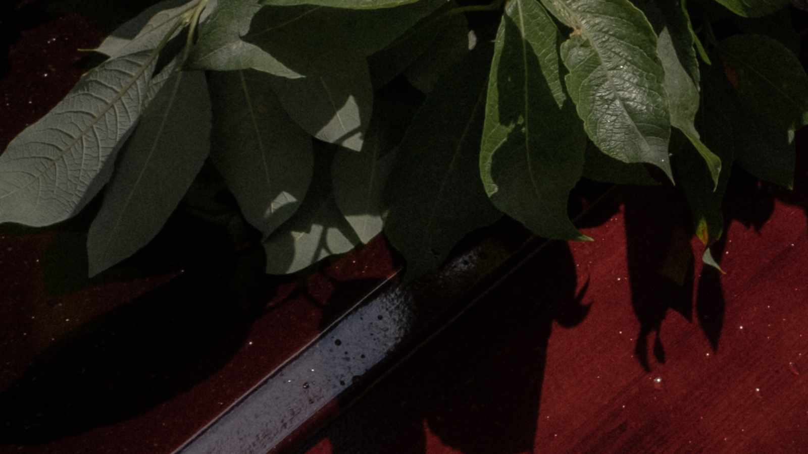 tablice nagrobkowe z plexi