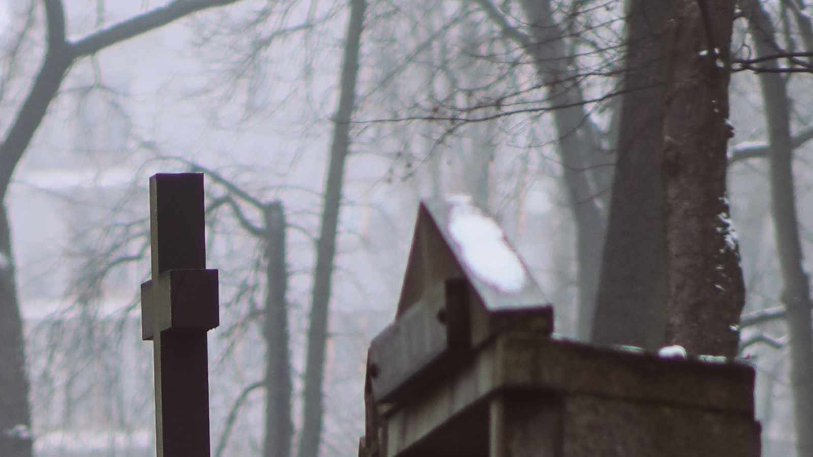 tablice nagrobkowe z plexi