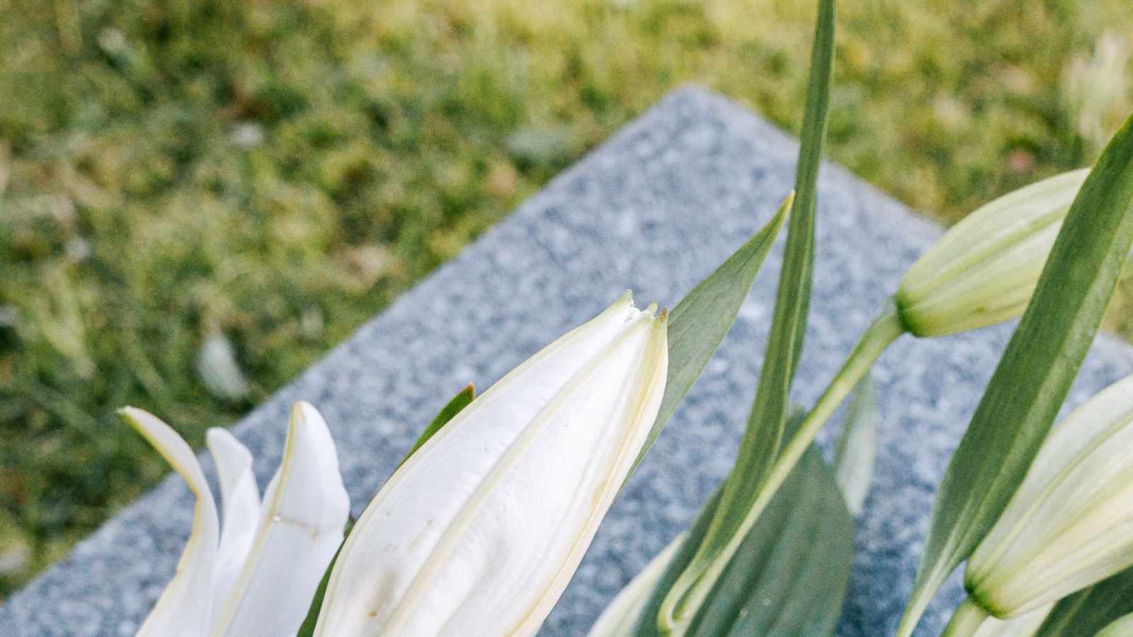 tablice nagrobkowe z plexi