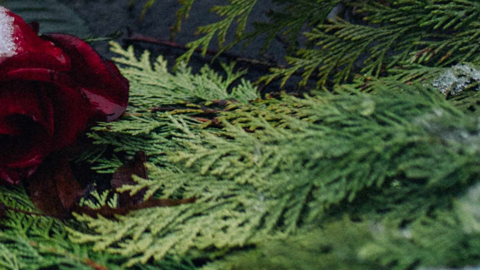 tablice nagrobkowe z plexi