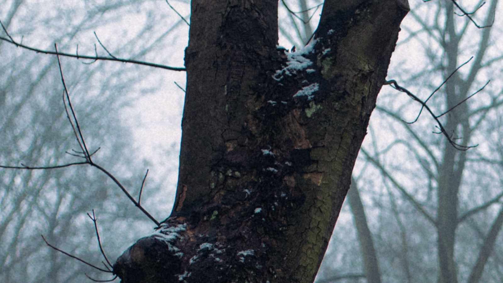 tablice nagrobkowe z plexi