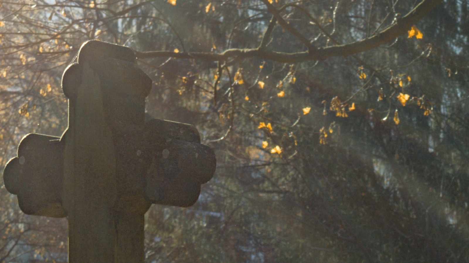 tablice nagrobkowe z plexi