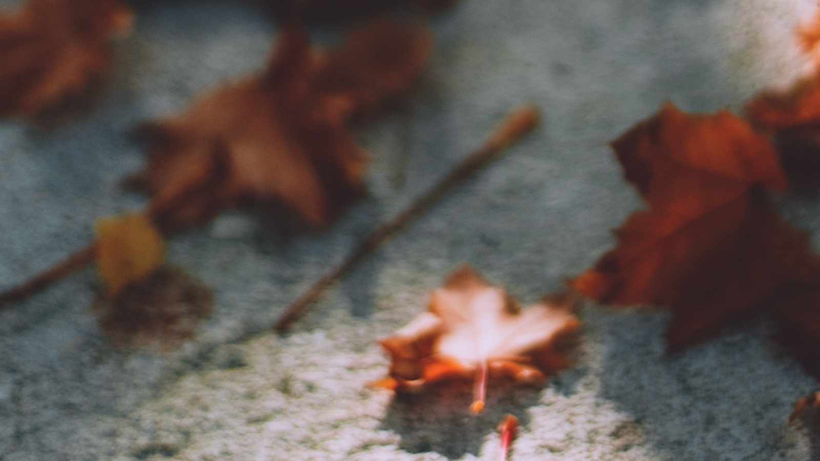 tablice nagrobkowe z plexi