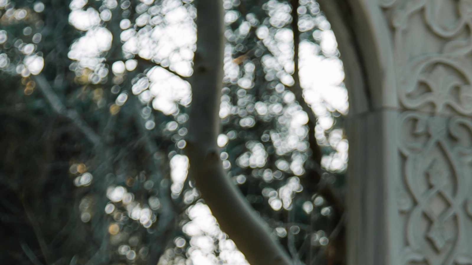 tablice nagrobkowe z plexi