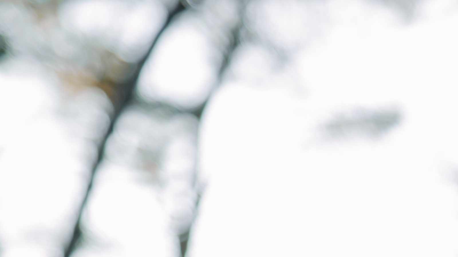 tablice nagrobkowe z plexi