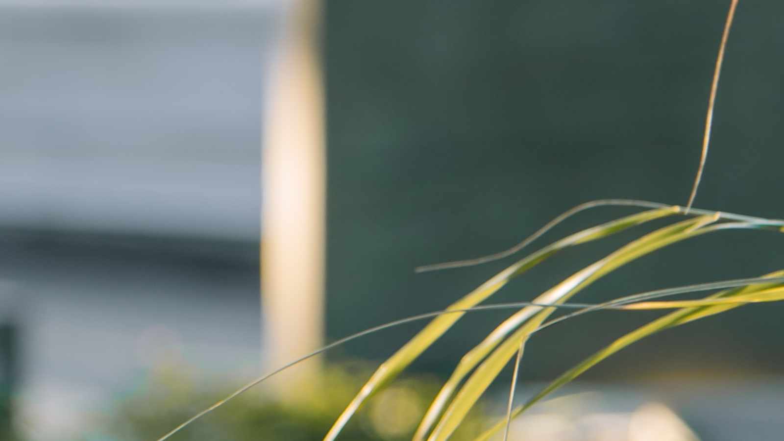 tablice nagrobkowe z plexi