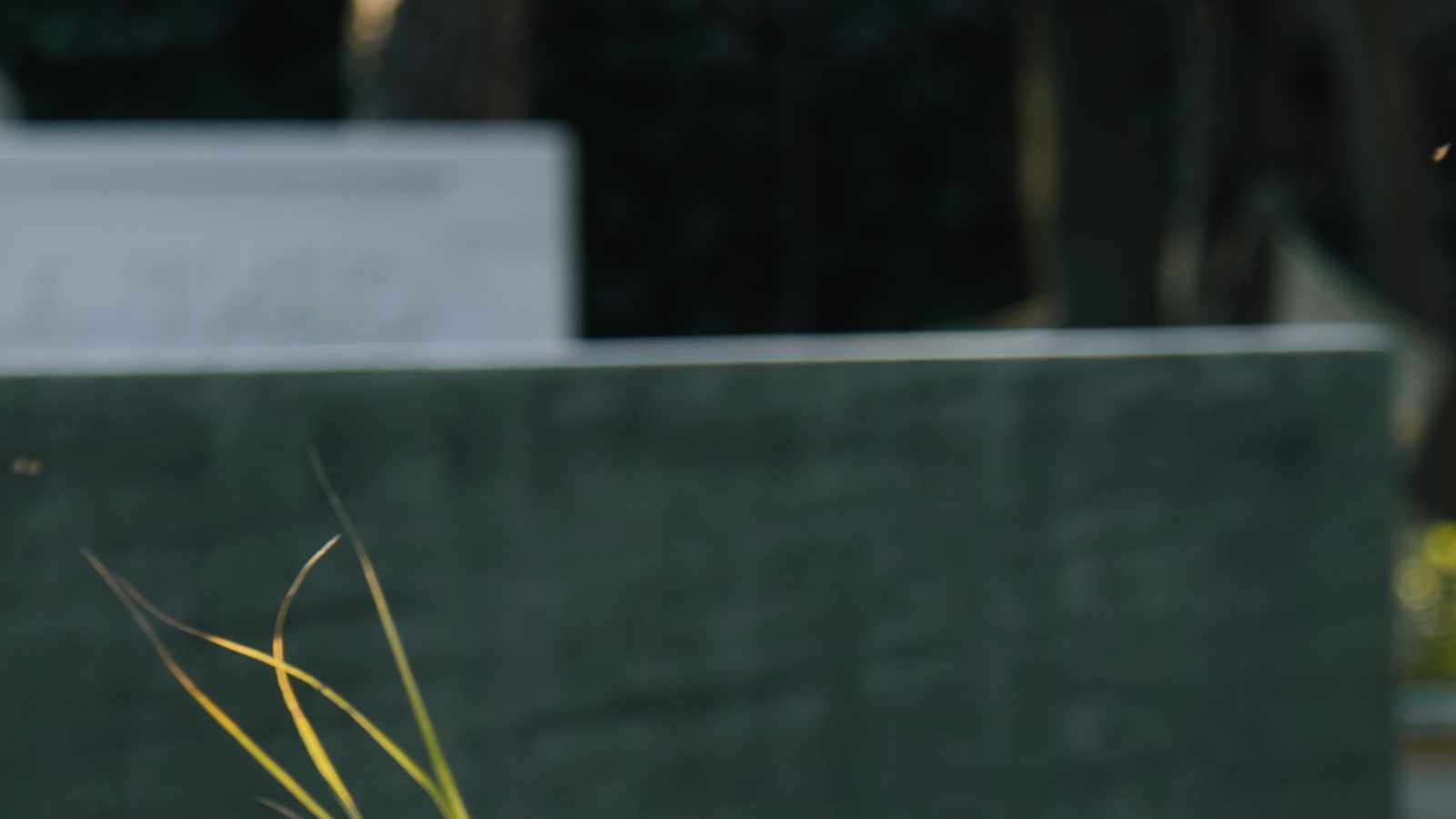 tablice nagrobkowe z plexi