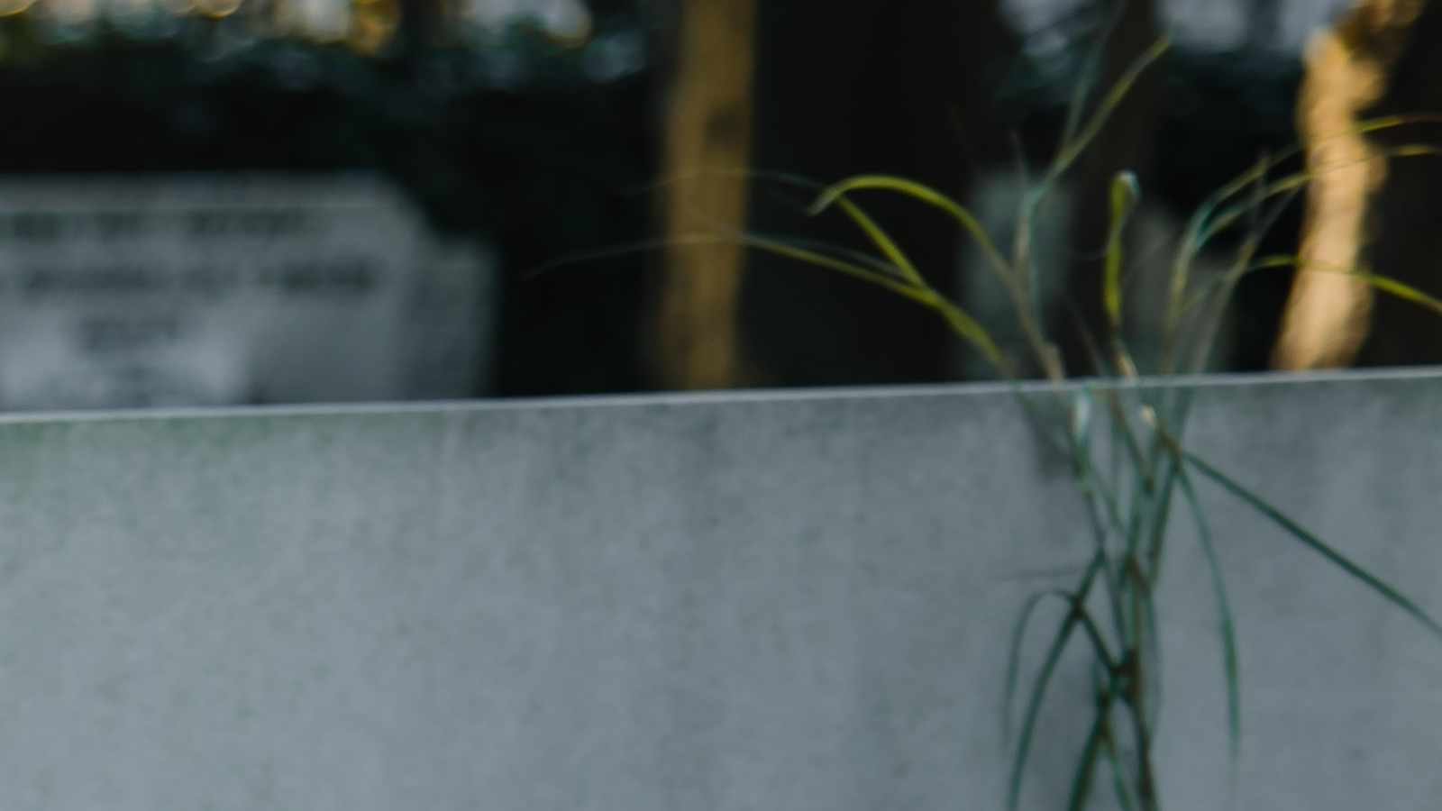 tablice nagrobkowe z plexi