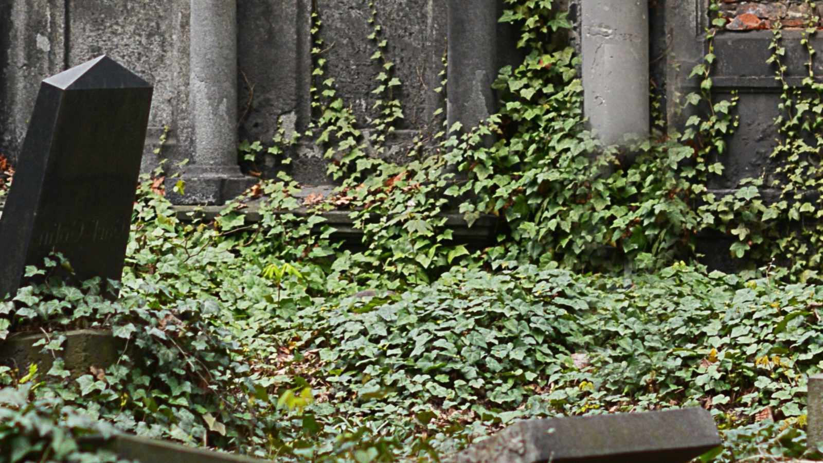 tablice nagrobkowe z plexi