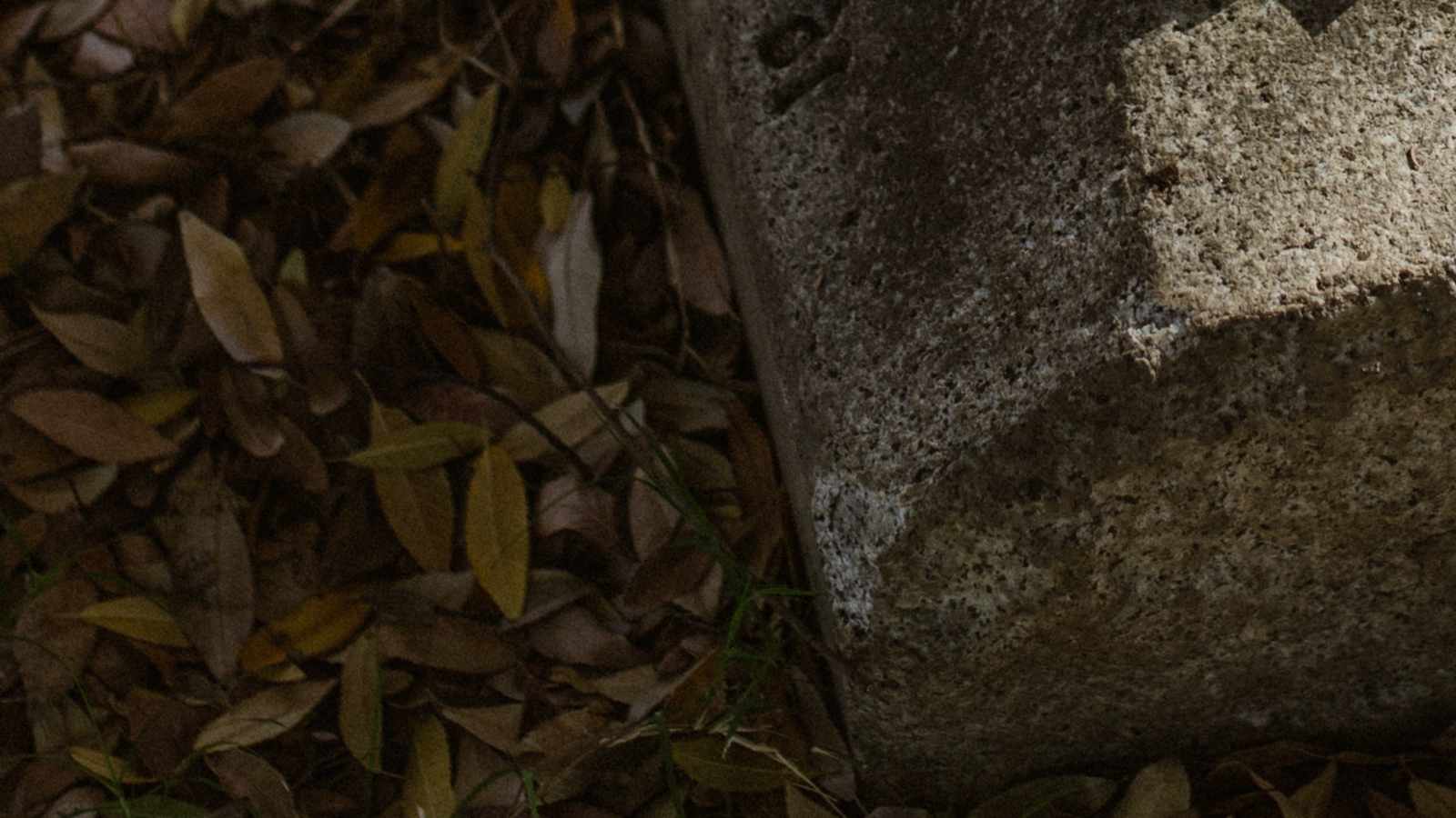 tablice nagrobkowe z plexi