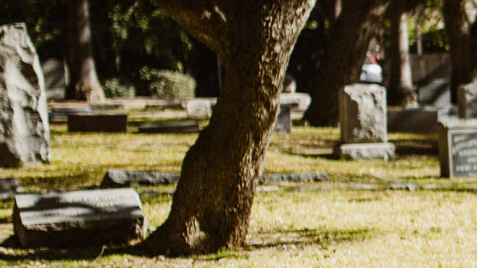 tablice nagrobkowe z plexi