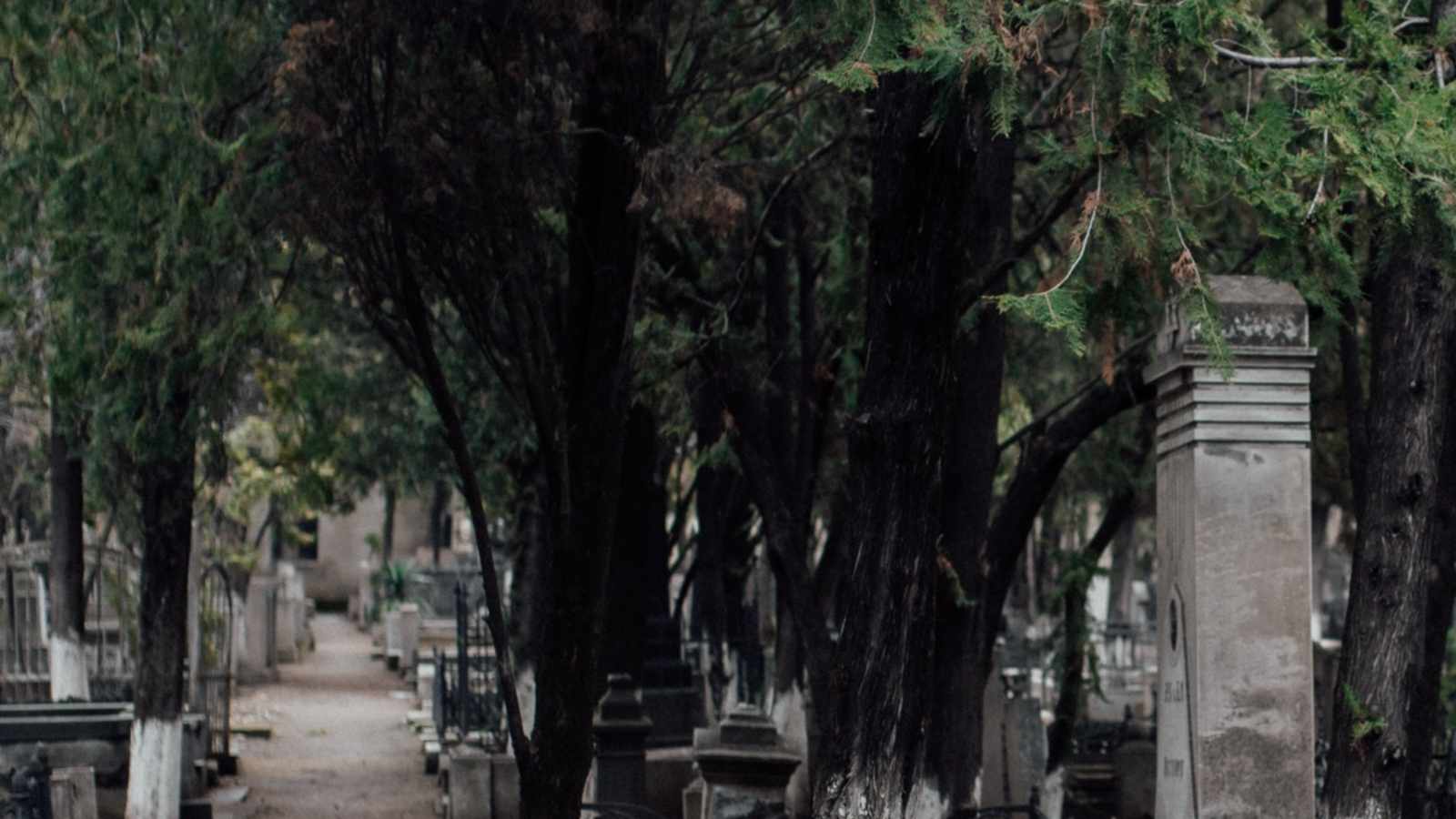 tablice nagrobkowe z plexi