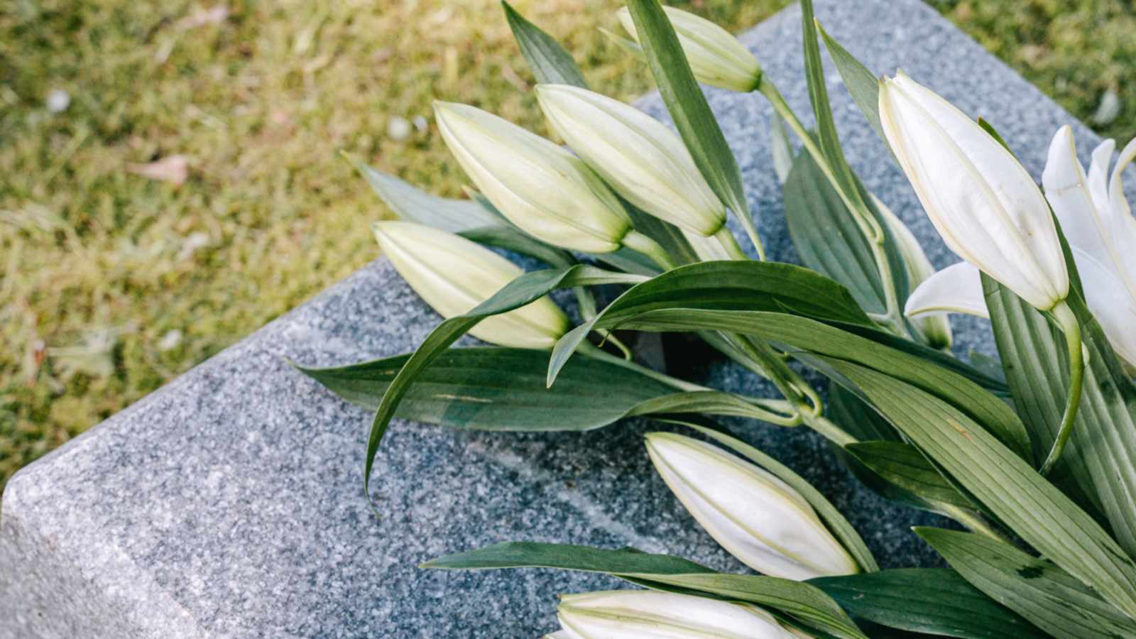 tablice nagrobkowe z plexi