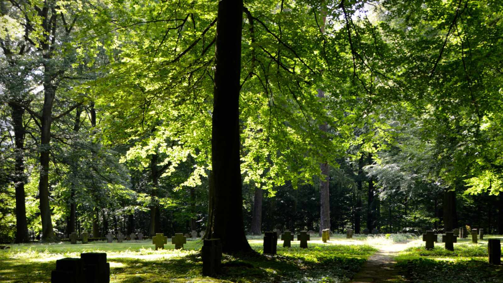 tablice nagrobkowe z plexi