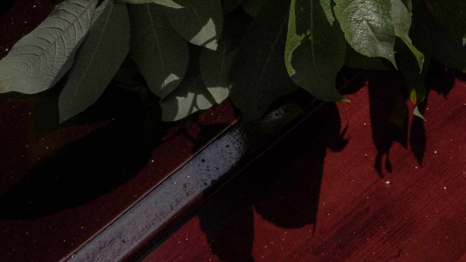 tablice nagrobkowe z plexi