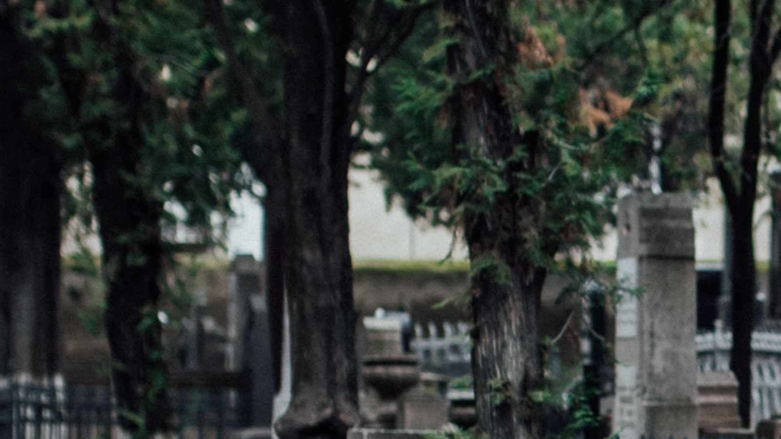 tablice nagrobkowe z plexi