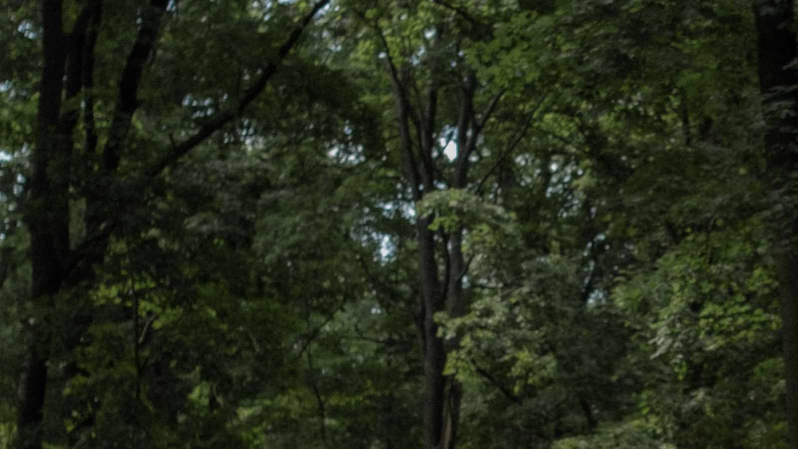 tablice nagrobkowe z plexi