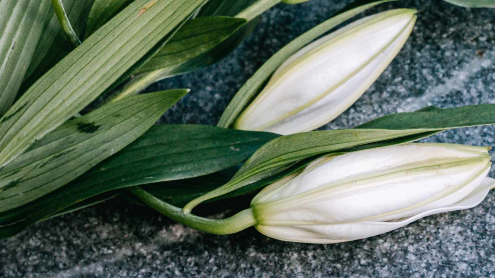 tablice nagrobkowe z plexi