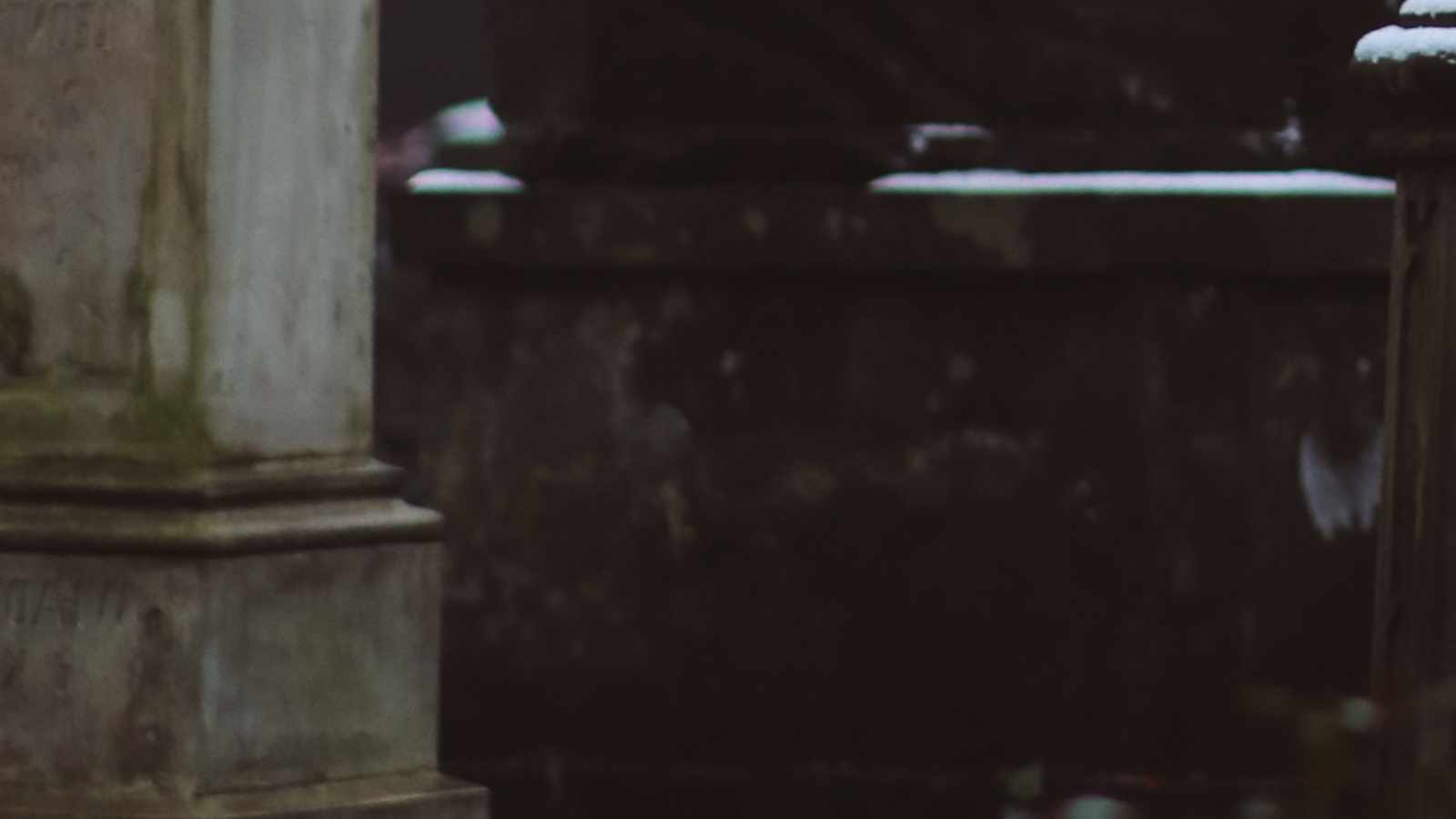 tablice nagrobkowe z plexi