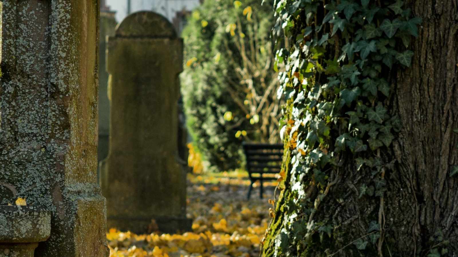 tablice nagrobkowe z plexi