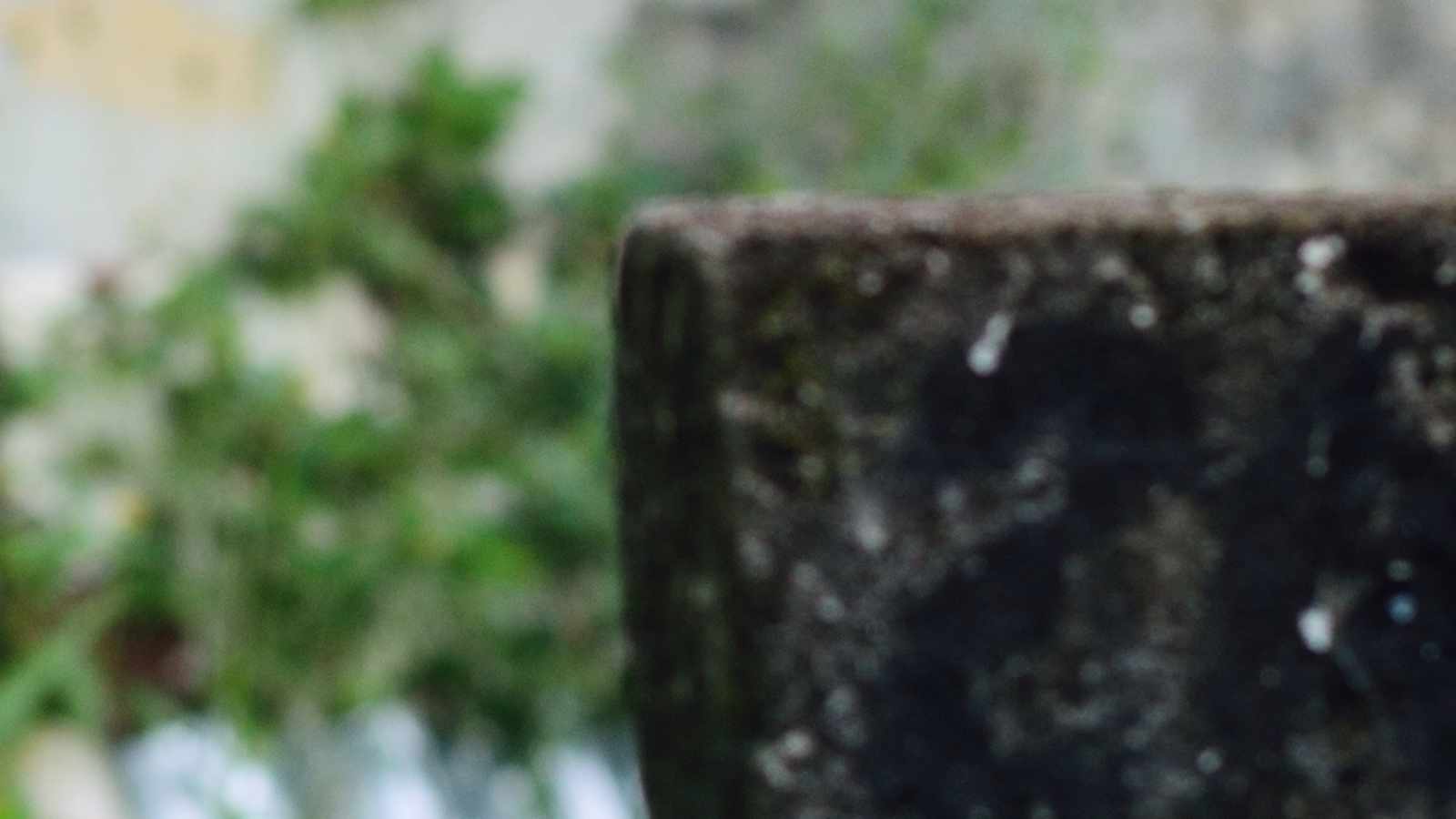 tablice nagrobkowe z plexi