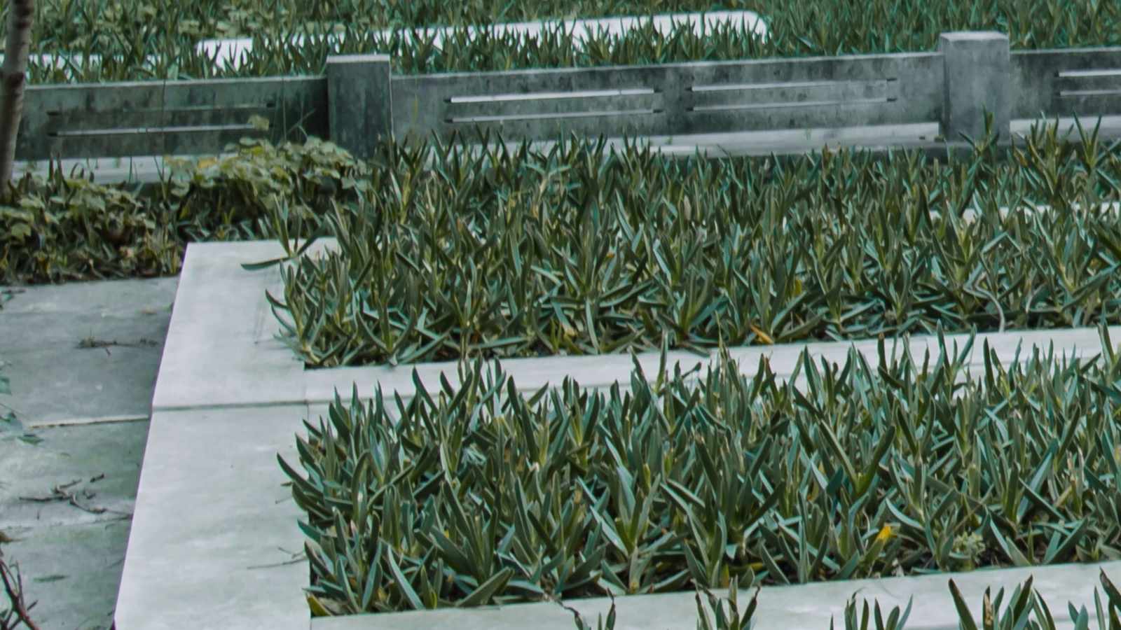 tablice nagrobkowe z plexi