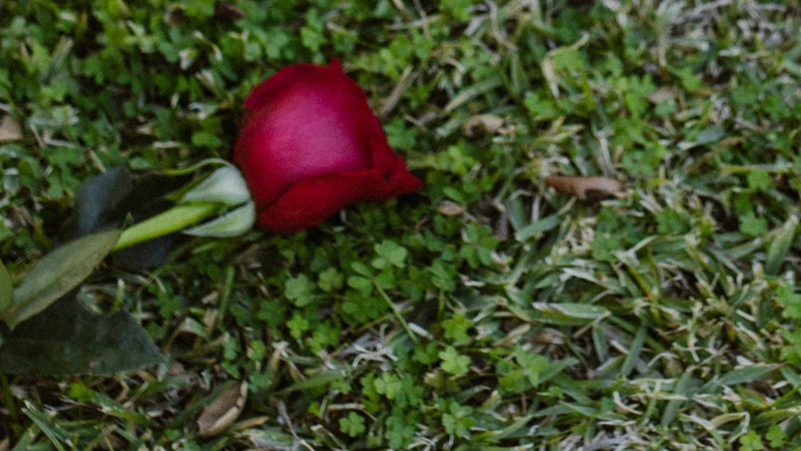 tablice nagrobkowe z plexi