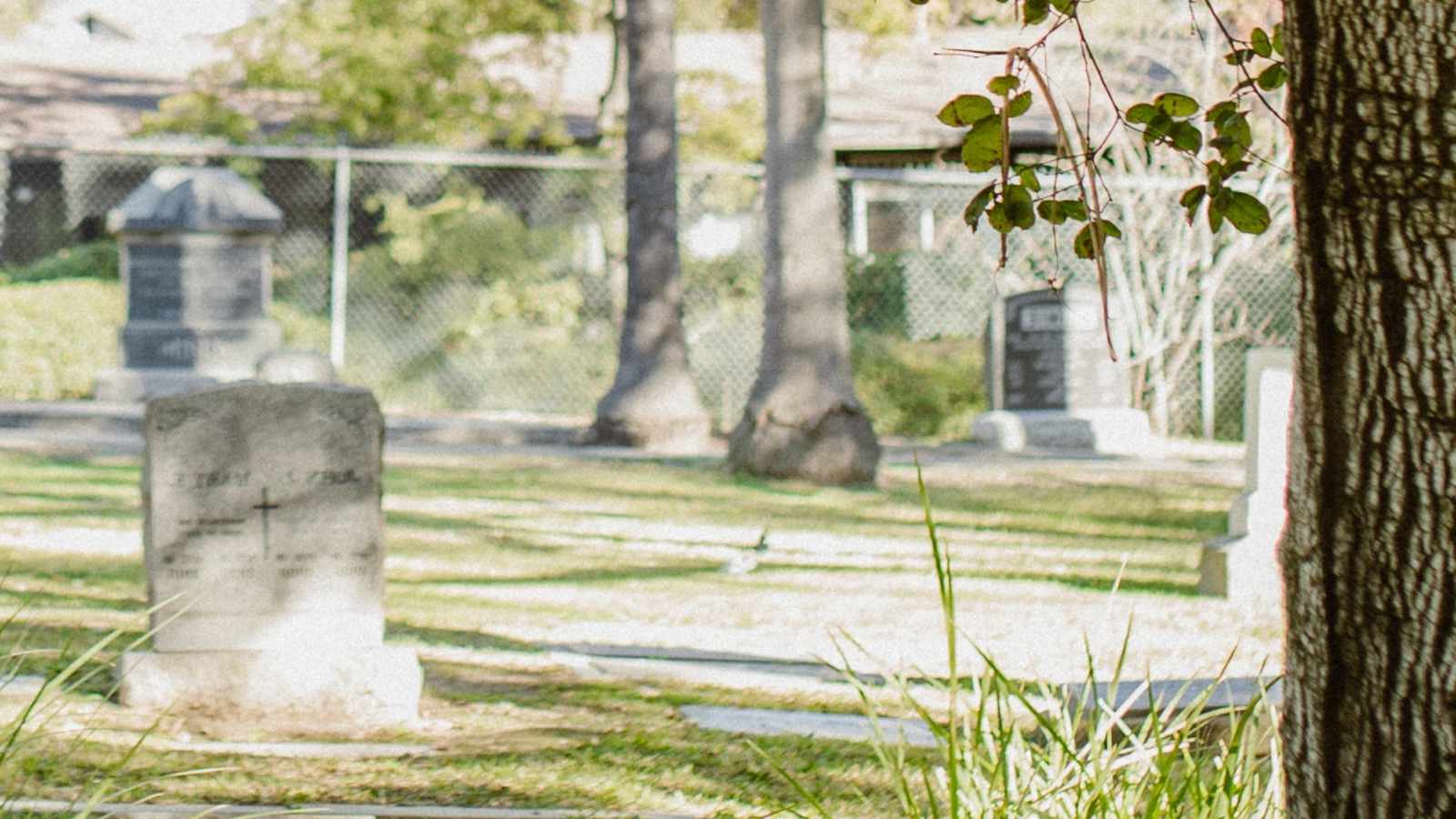 tablice nagrobkowe z plexi